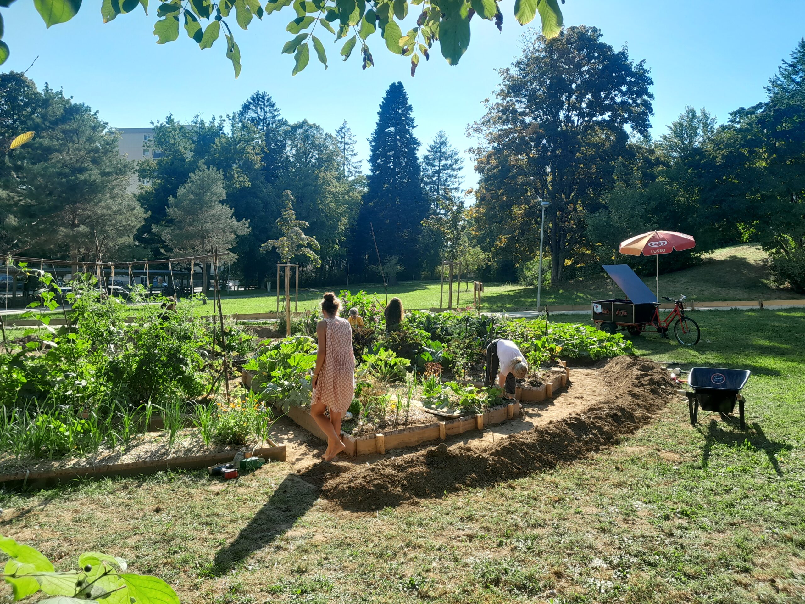 Jardin Jura (1)